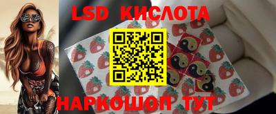 гашик Шахты