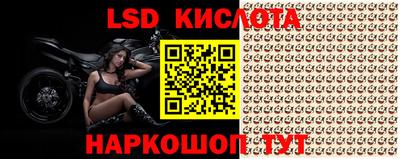 гашик Шахты