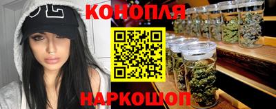 гашик Шахты