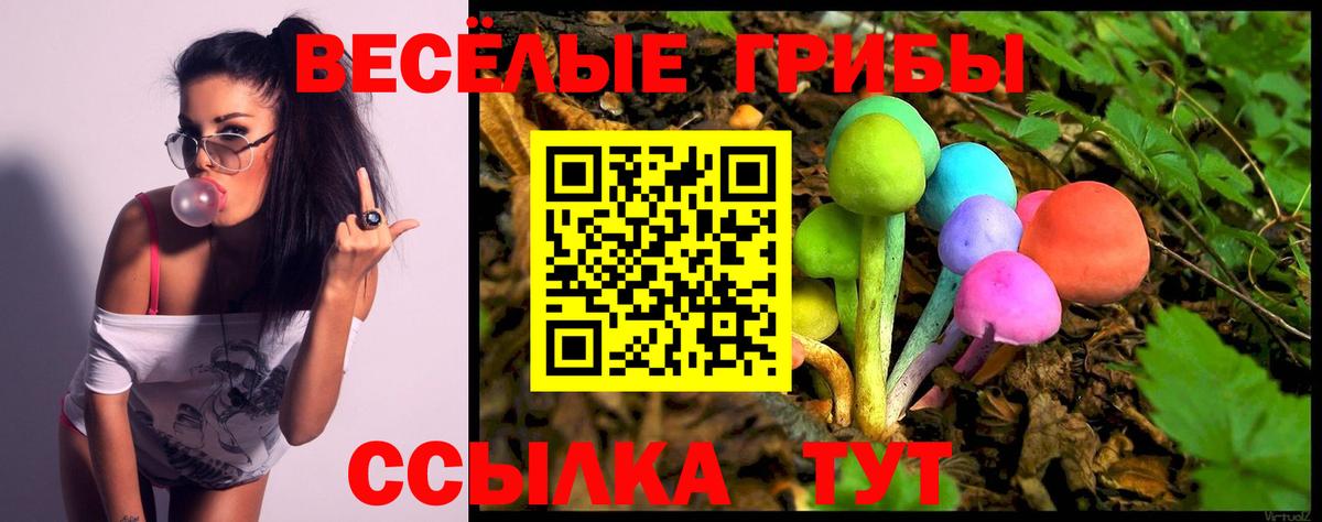 Галлюциногенные грибы Cubensis  Вход с VPN  Гатчина 