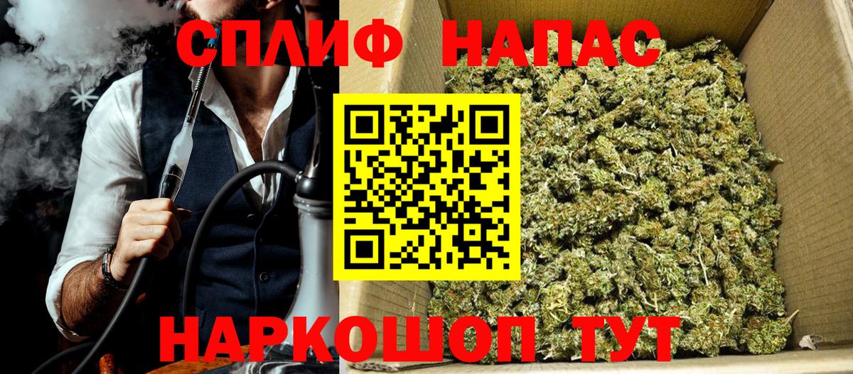 Конопля план Гатчина